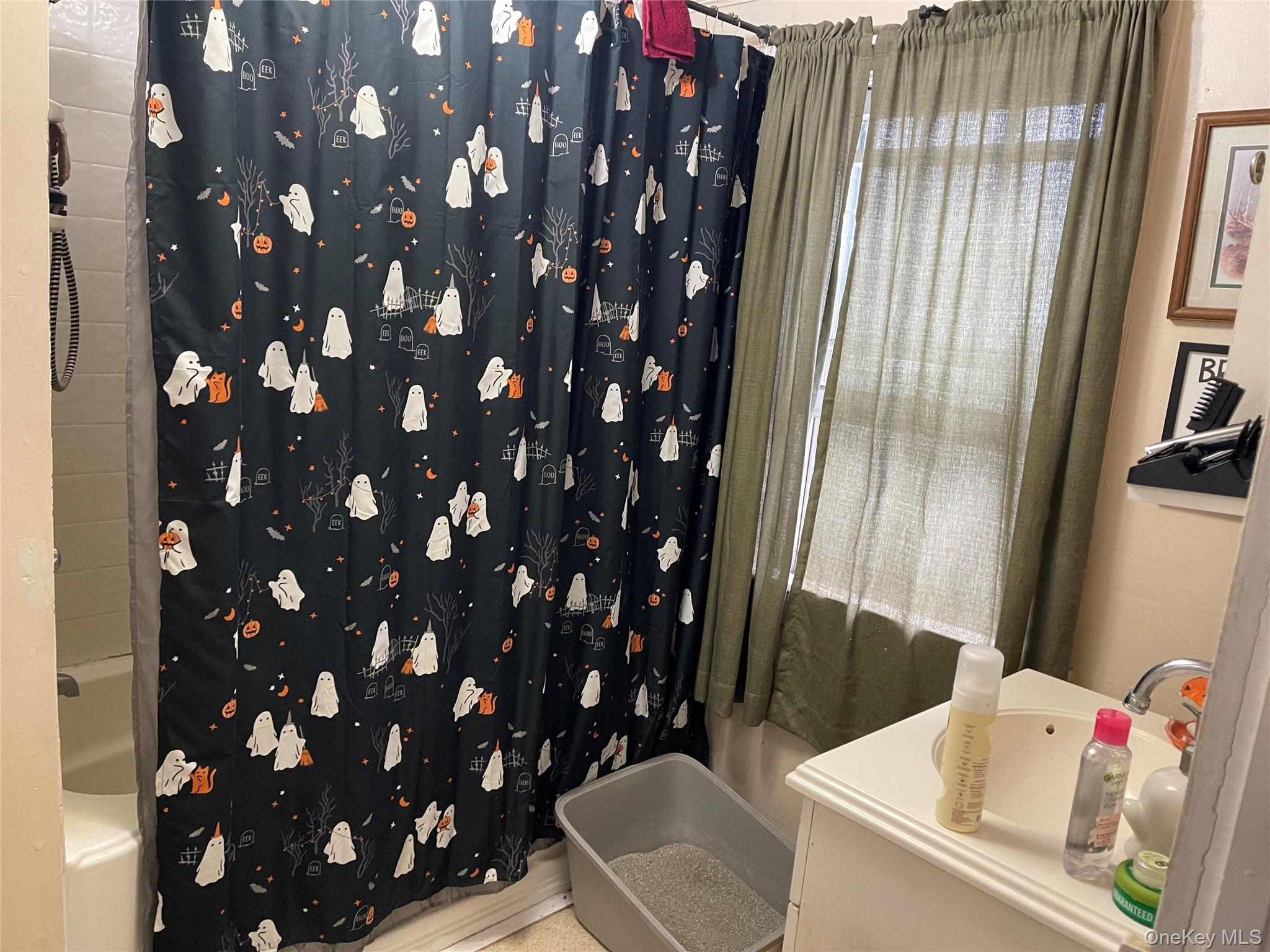 3 Center Street Deposit, NY 13754 - Photo 26 of 45 a bathroom with a sink a toilet and tub