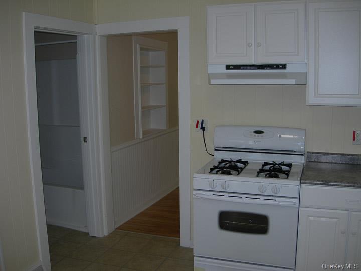 3 Center Street Deposit, NY 13754 - Photo 36 of 45 a close view of stove top oven and cabinets