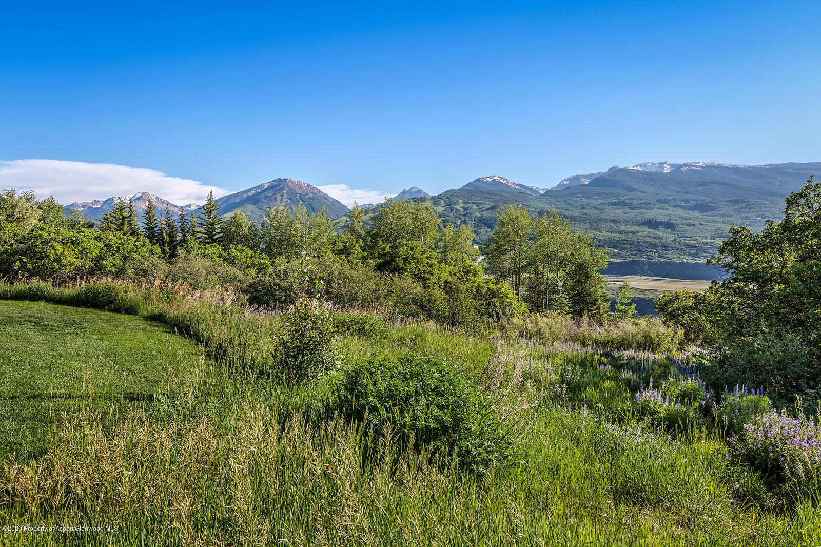 View from Adjacent Lot