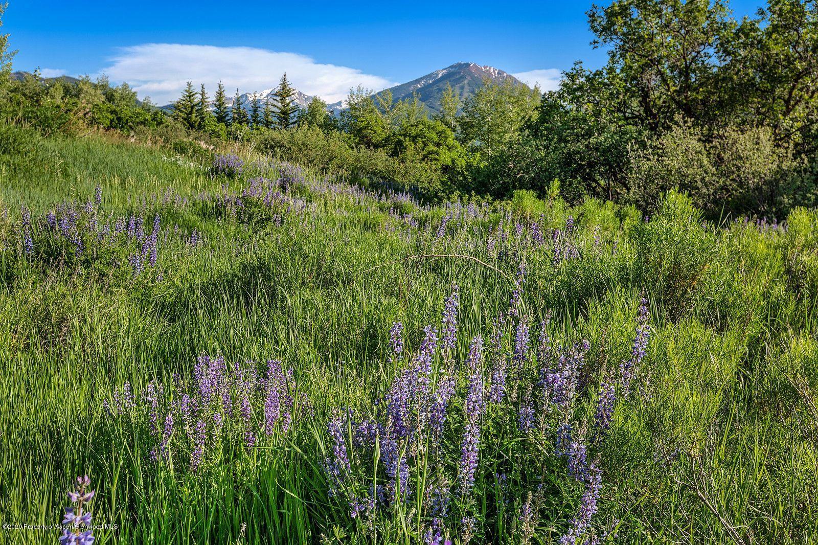 277 Danielson Drive Aspen, CO 81612 - Photo 2 of 4 Lot Photo