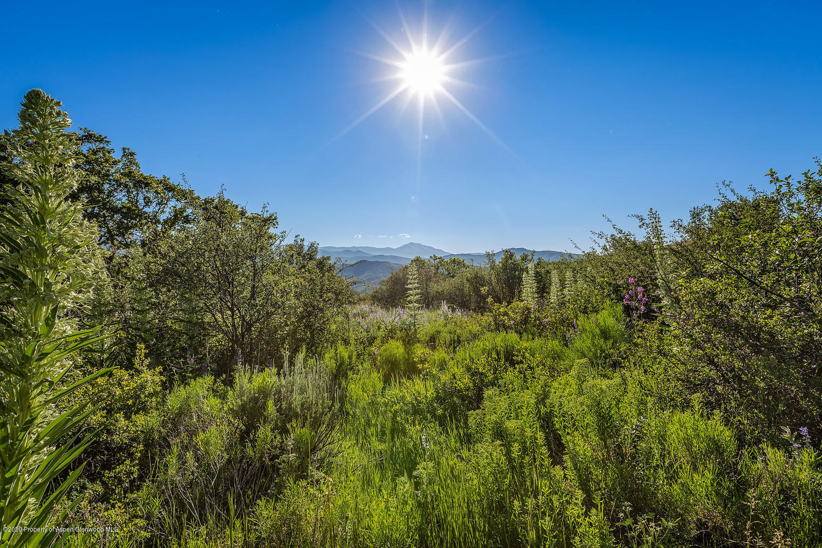 277 Danielson Drive Aspen, CO 81612 - Photo 3 of 4 View2 from Adjacent Lot