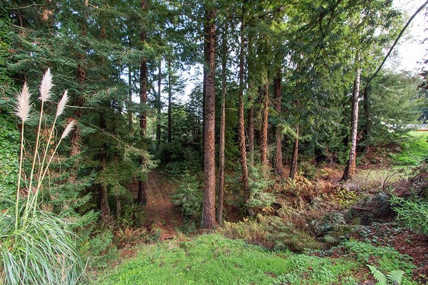 4259 Campton Road Eureka, CA 95503 - Photo 45 of 49