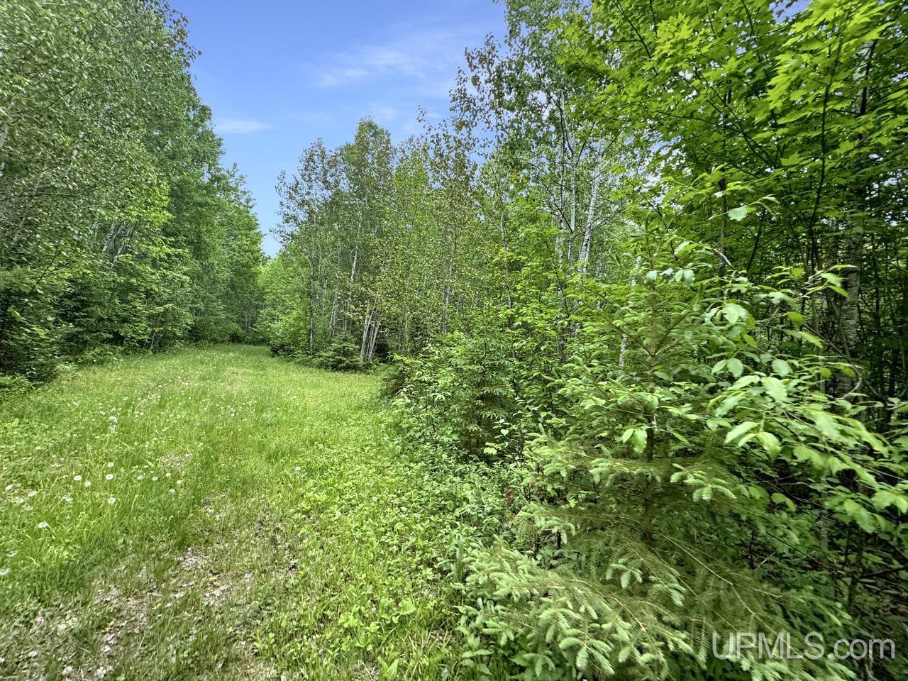 730 Premo Creek Road Crystal Falls, MI 49920 - Photo 45 of 91