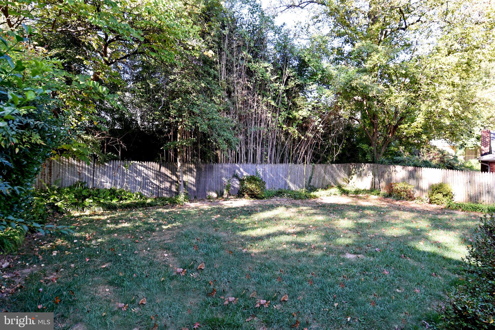 319 Waterford Road Silver Spring, MD 20901 - Photo 14 of 46 BACK YARD