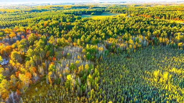 $849,900 | 9724 North County Highway East, Hayward, WI 54843