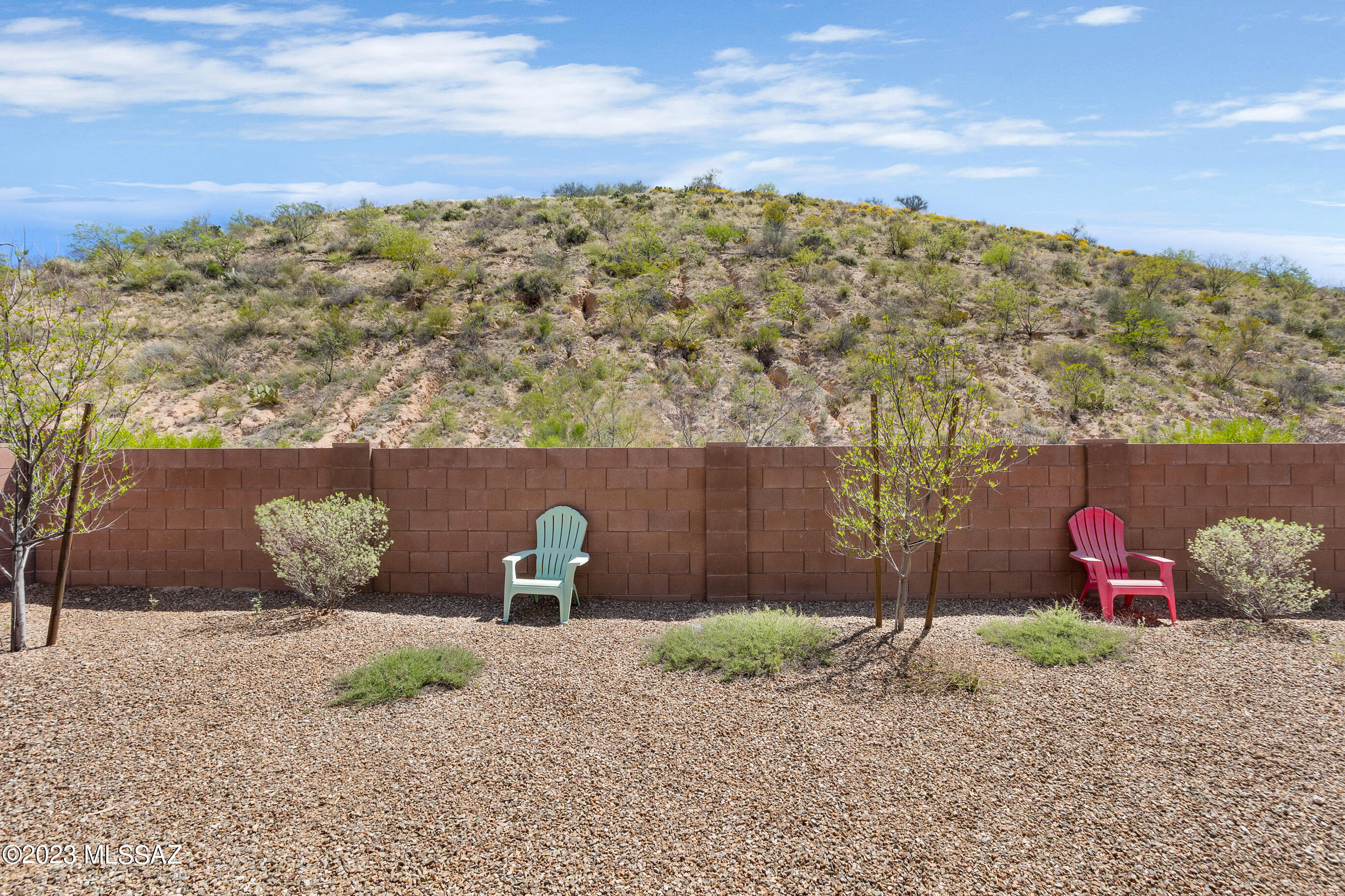 38809 South Running Roses Lane Tucson, AZ 85739 - Photo 8 of 25