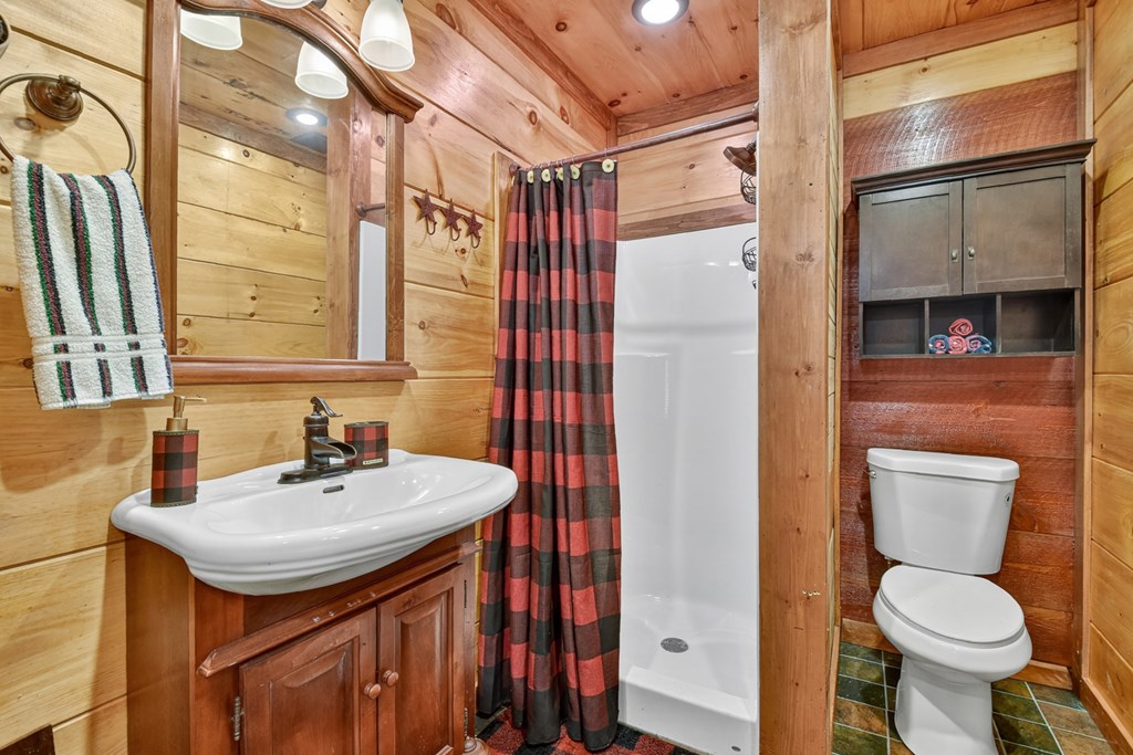 422 Timber Ridge Road South Blairsville, GA 30512 - Photo 21 of 26 Gallery Image 21