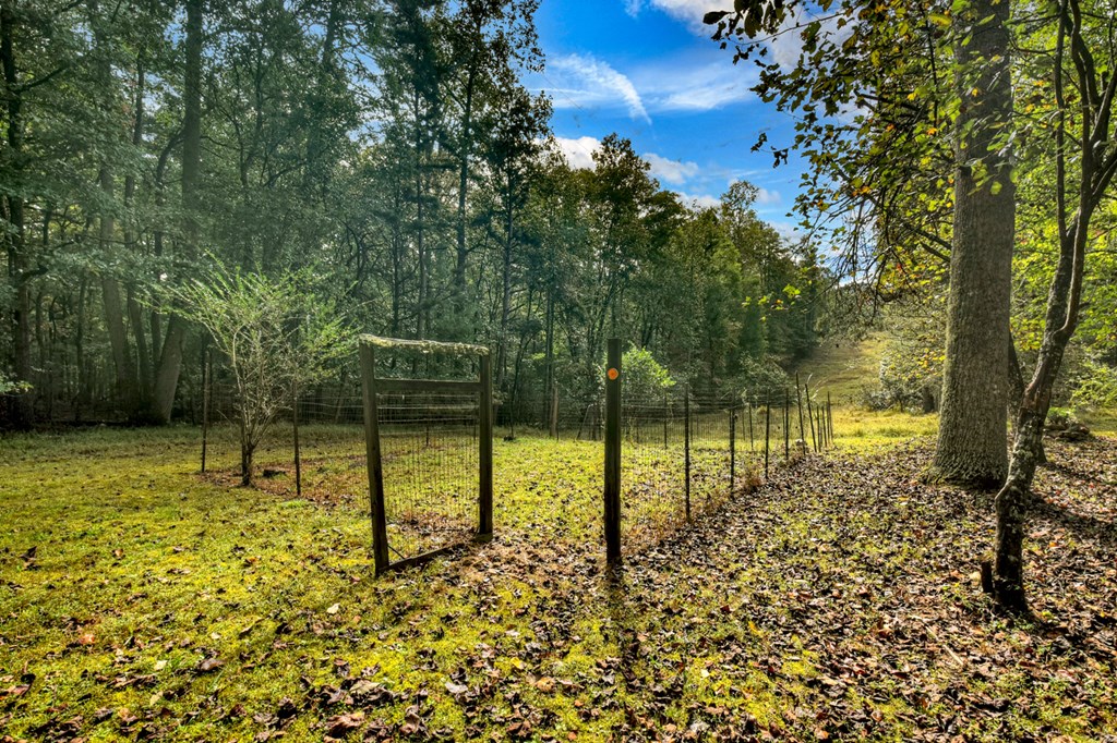 422 Timber Ridge Road South Blairsville, GA 30512 - Photo 4 of 26 Gallery Image 4