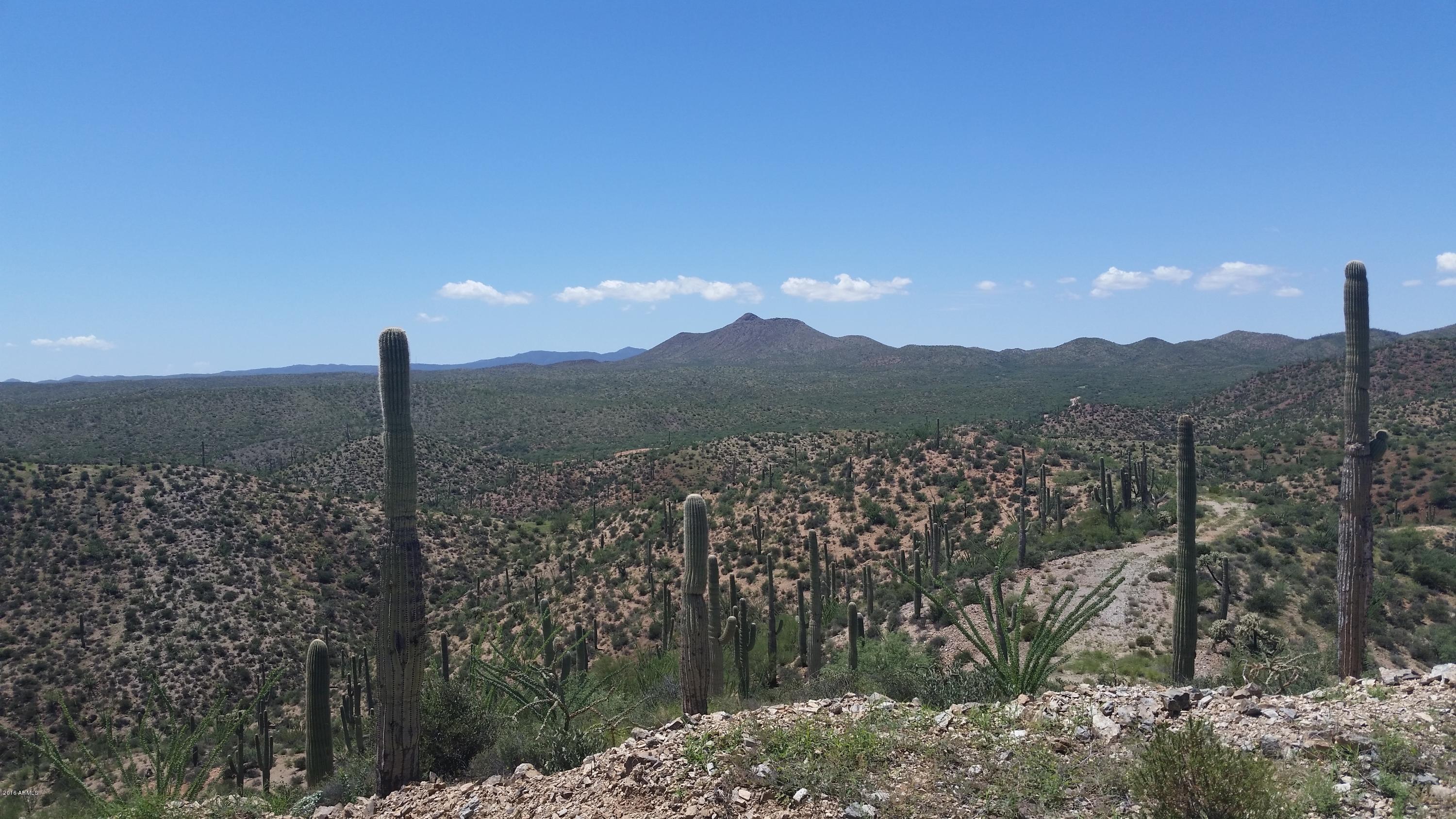 69970 East Freeman Road, Unit ''' Phoenix, AZ 85016 - Photo 3 of 7 Ranch views