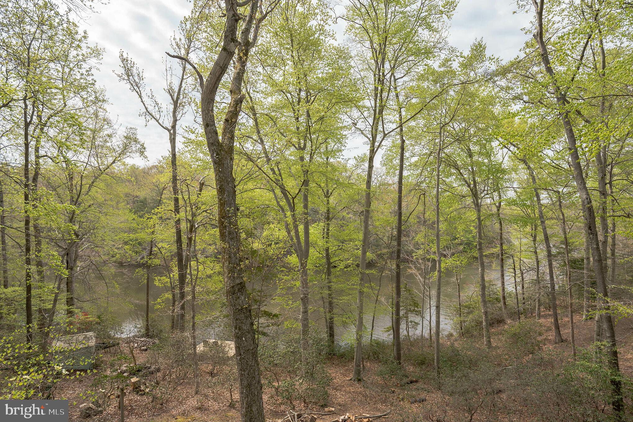 615 Running Fox Road Lusby, MD 20657 - Photo 21 of 30 Quiet and serene