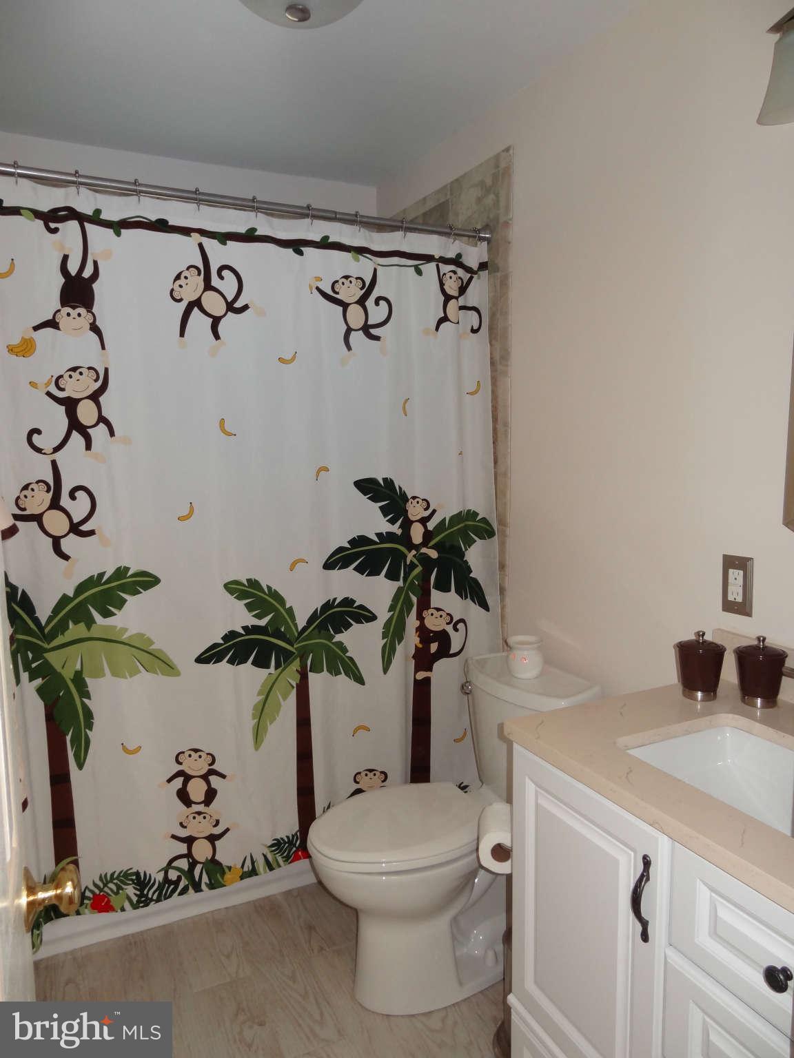 113 Roselawn Road Annapolis, MD 21403 - Photo 18 of 28 Bath