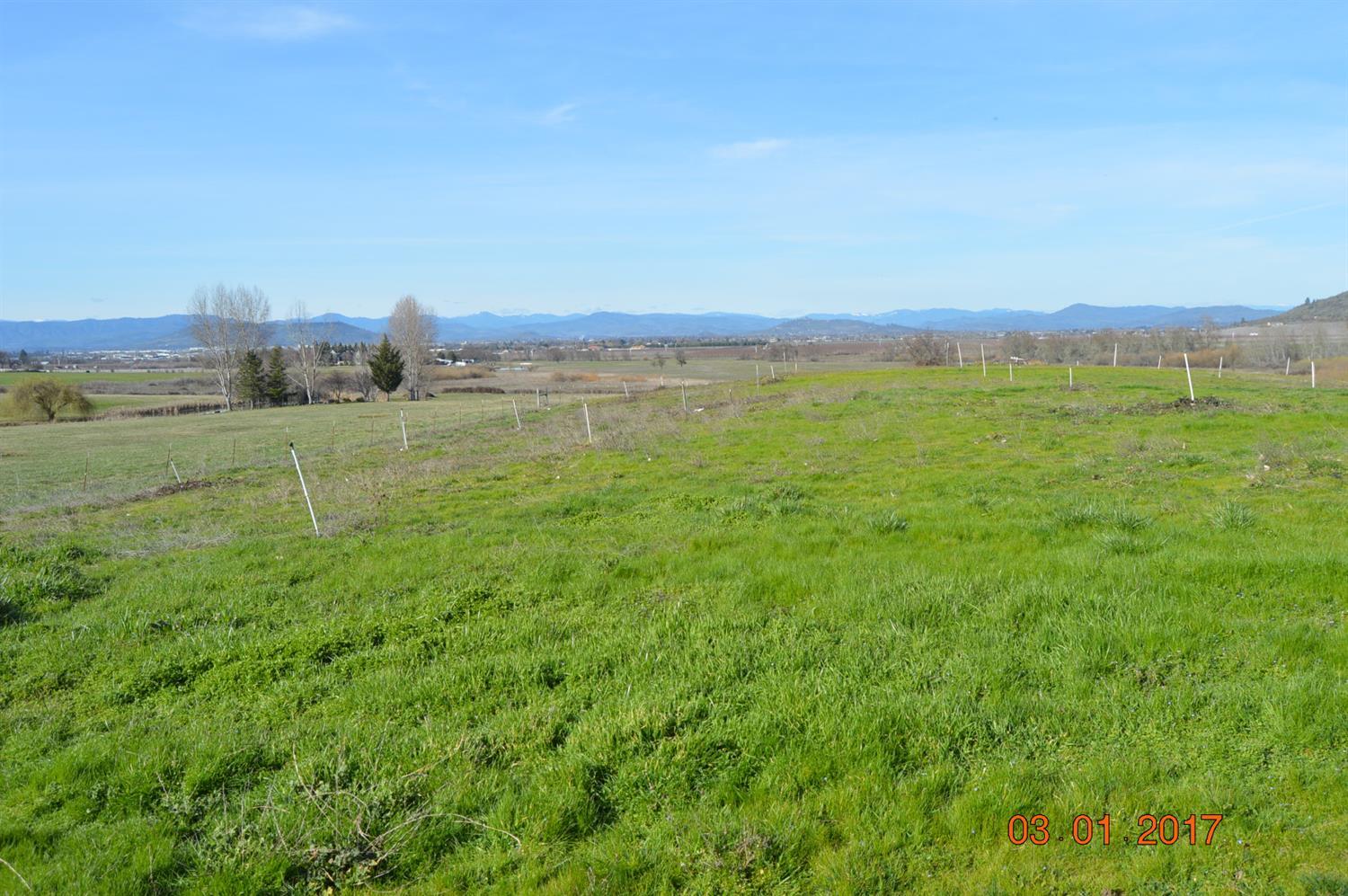 2893 Coker Butte Road Medford, OR 97504 - Photo 15 of 24 Additional Photo