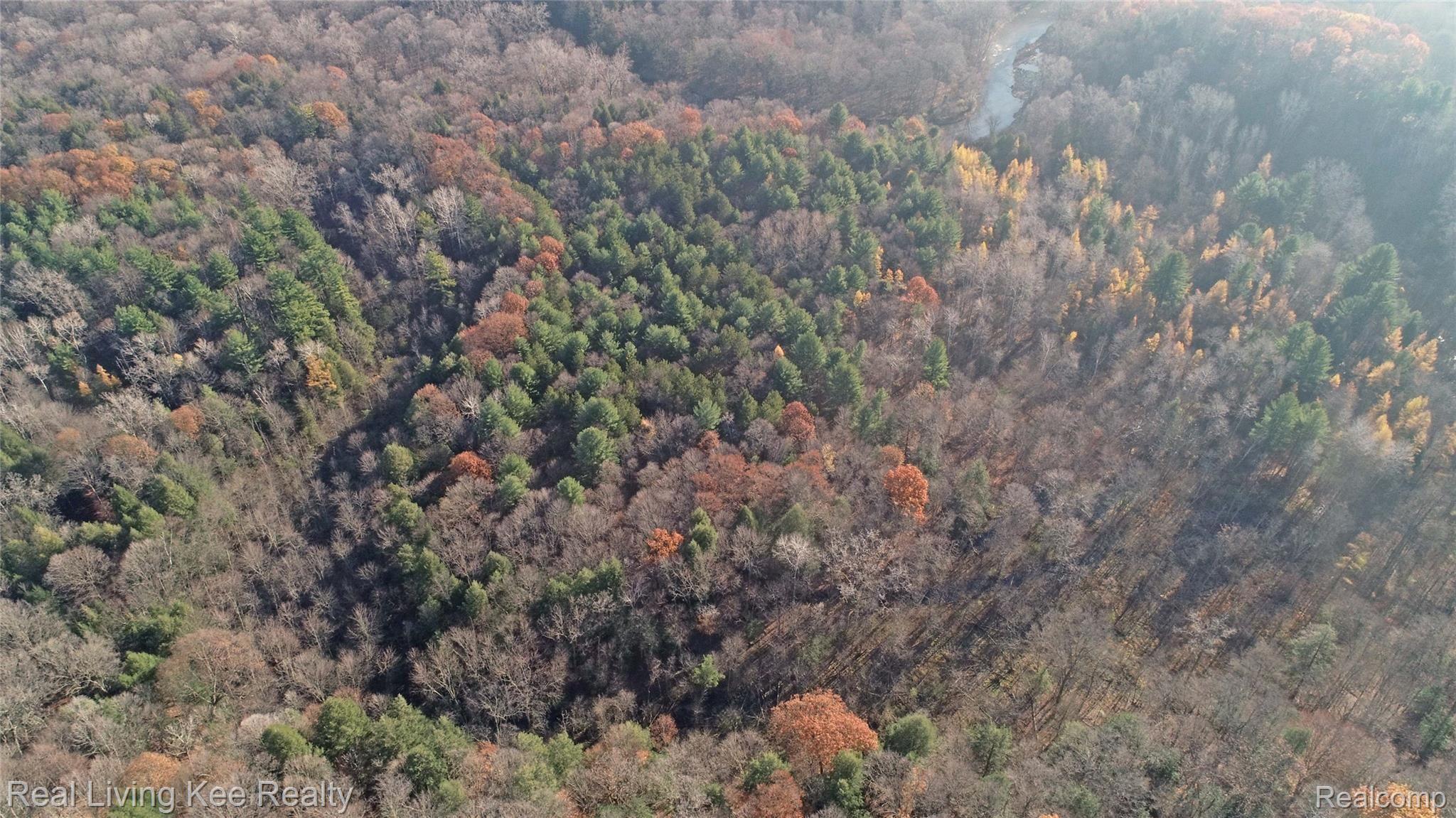 7924 Graham Road Jeddo, MI 48032 - Photo 51 of 58 DJI_0002.jpg