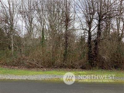 0 17th Avenue Southwest Seattle, WA 98106 - Photo 1 of 1