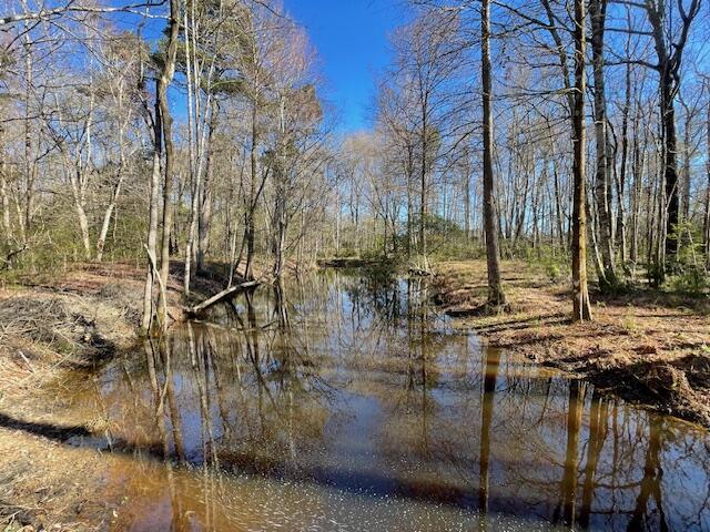 117 Oak Estates Way Ridgeville, SC 29472 - Photo 20 of 26 IMG_3795