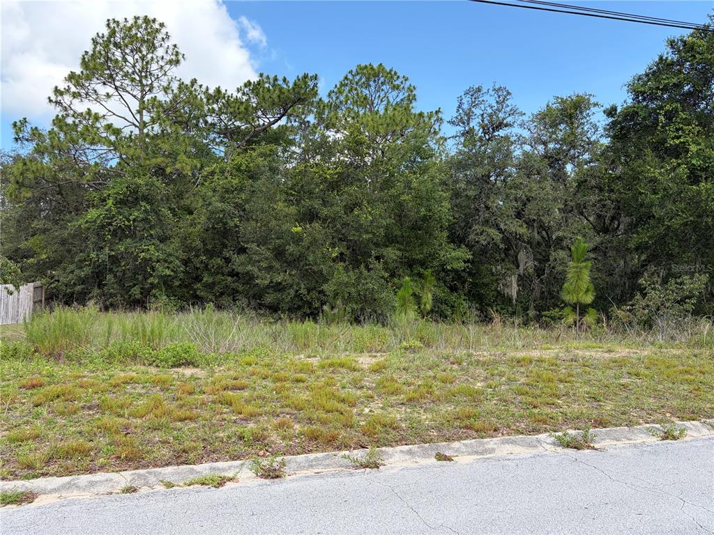 1133 Rutgers Terrace Inverness, FL 34452 - Photo 4 of 4