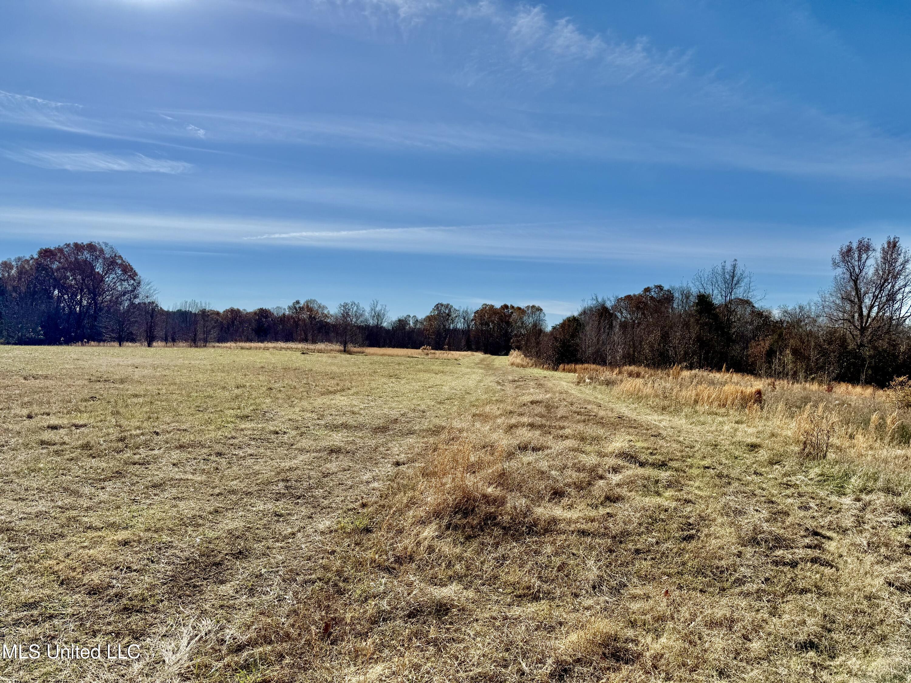 Kelly Lane Red Banks, MS 38661 - Photo 5 of 13 IMG_0057