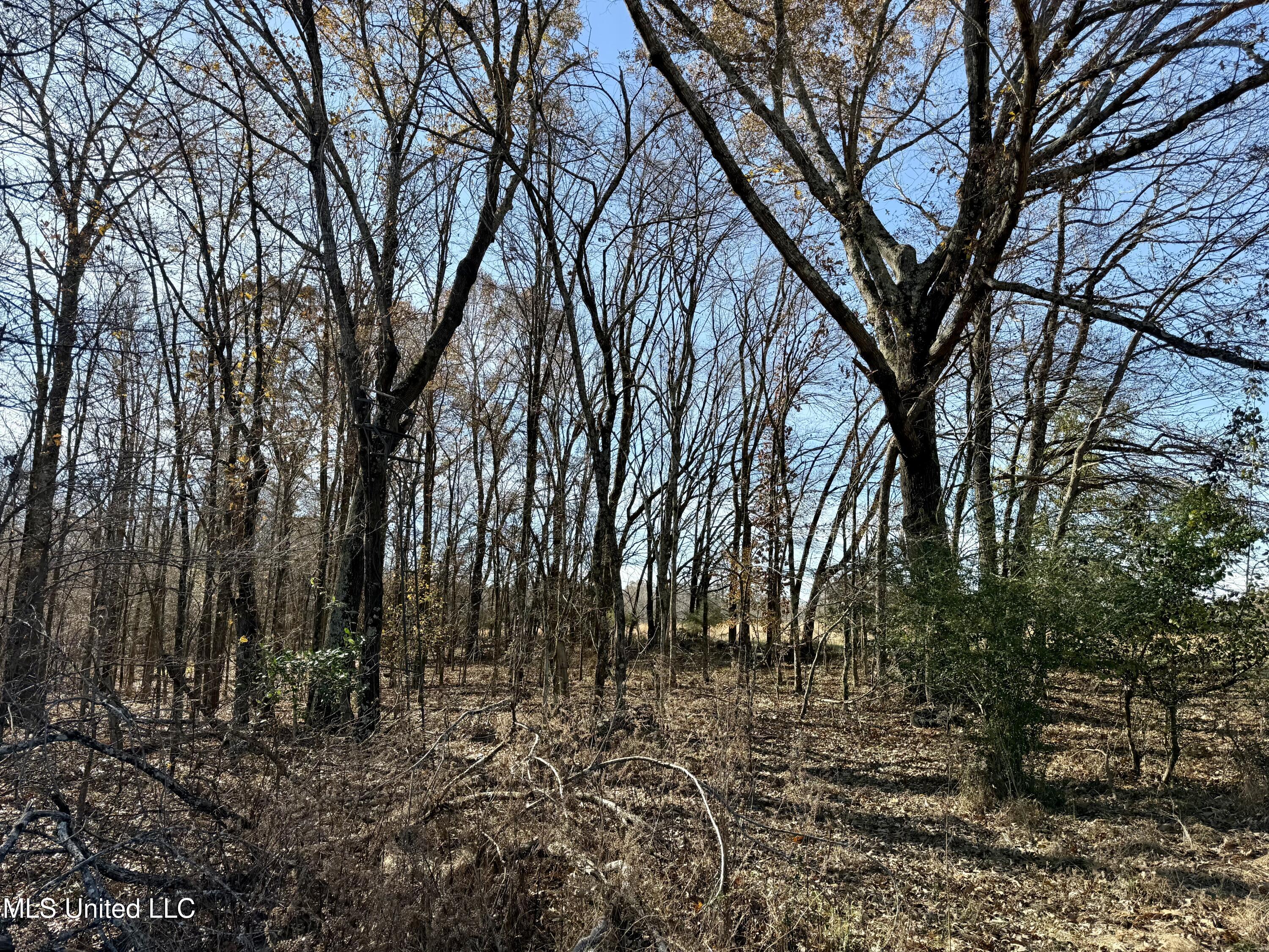 Kelly Lane Red Banks, MS 38661 - Photo 8 of 13 IMG_0059