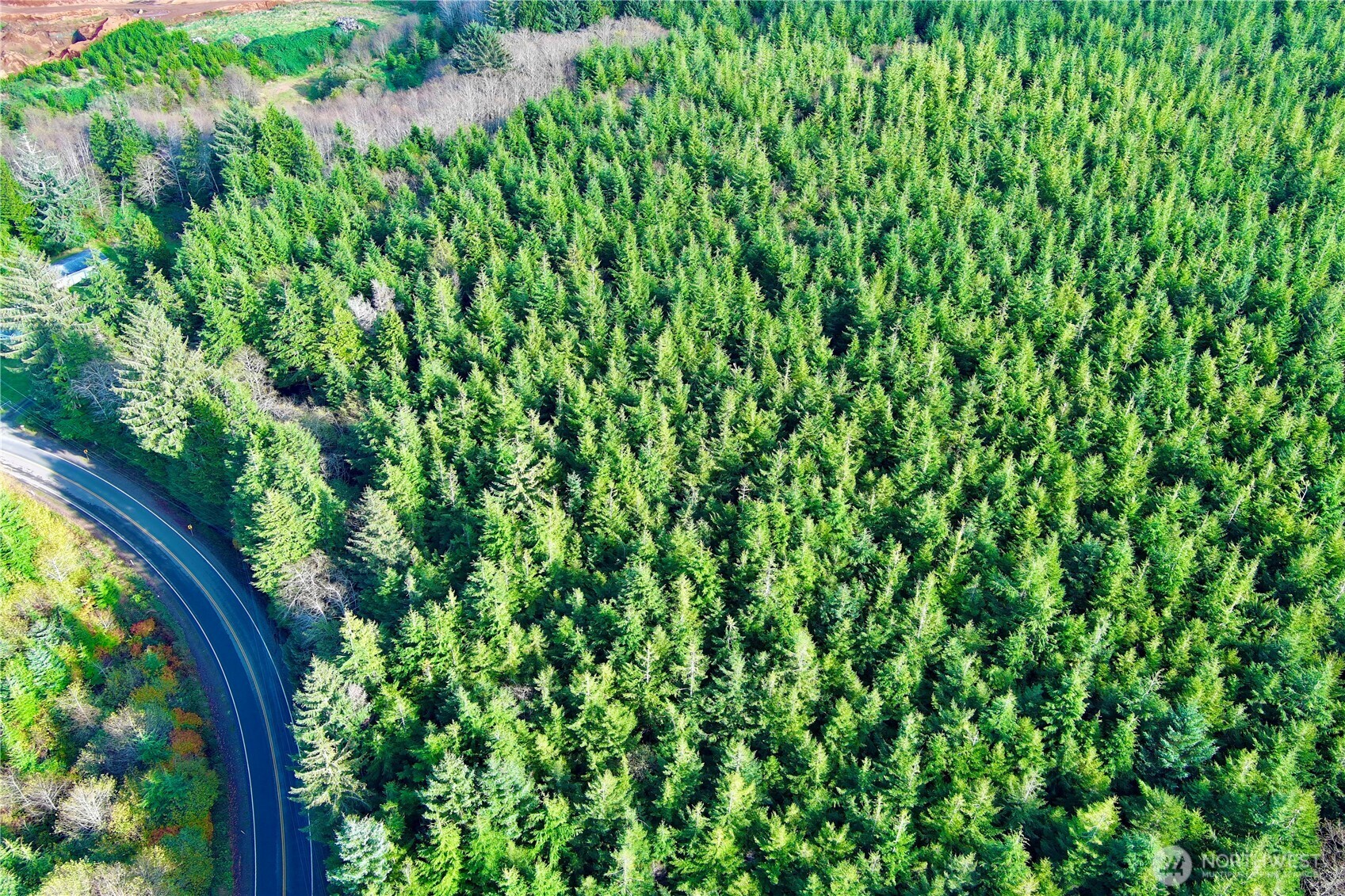 0 Copalis Beach Road Copalis Beach, WA 98535 - Photo 11 of 31
