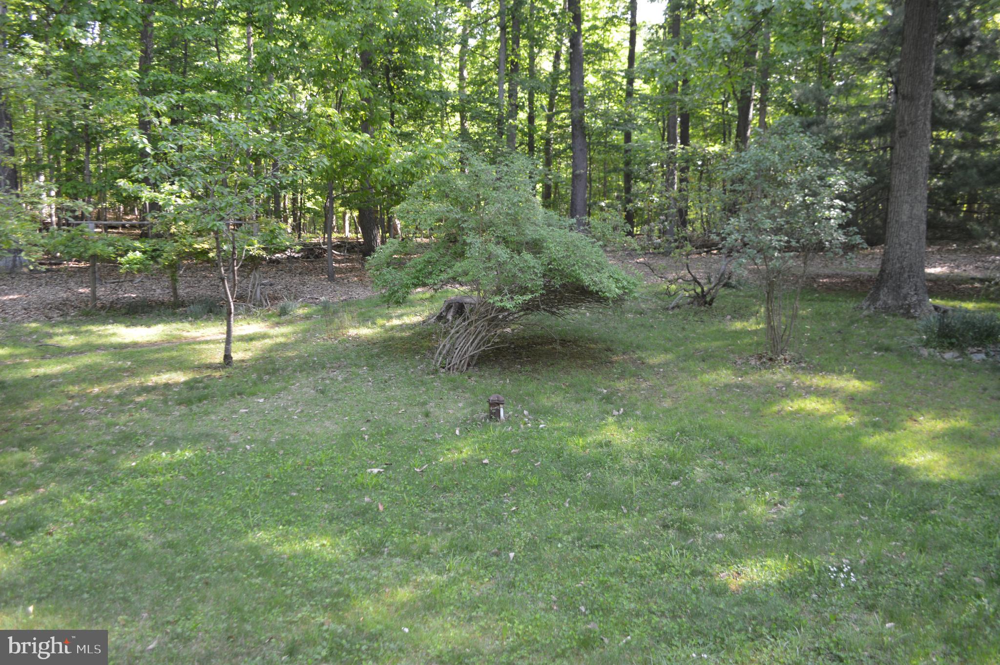 2736 Albert Rill Road Westminster, MD 21157 - Photo 21 of 28 Veiw from front door