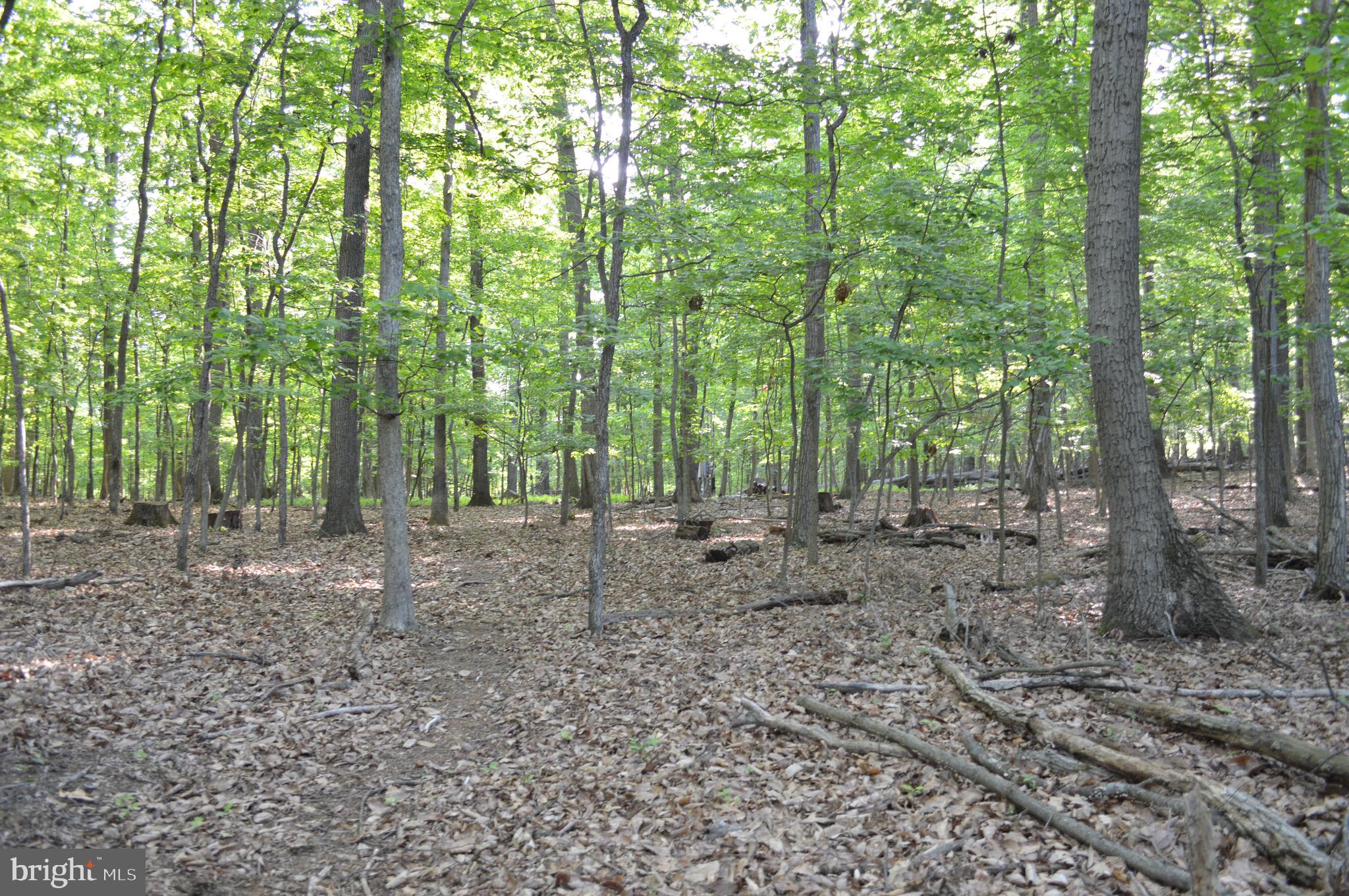 2736 Albert Rill Road Westminster, MD 21157 - Photo 26 of 28 Wooded acreage