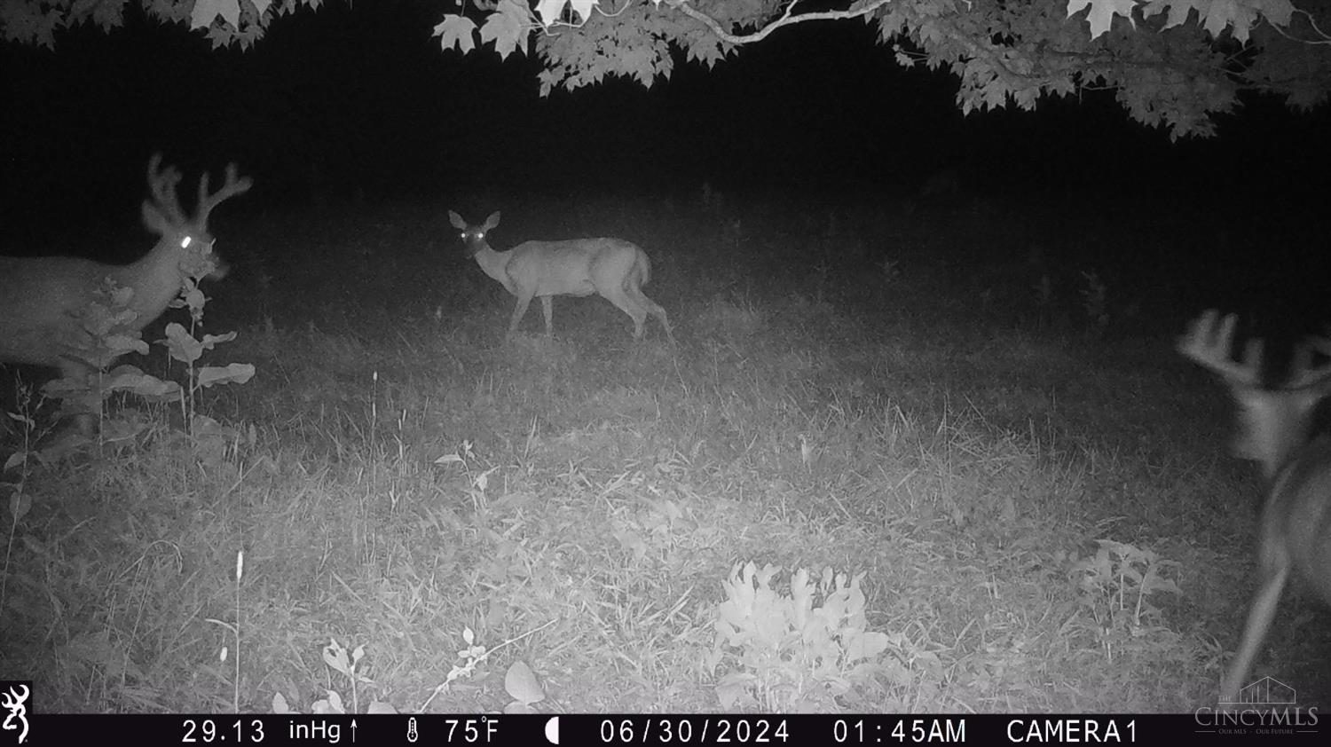 0 Devore Road Ripley, OH 45167 - Photo 37 of 63