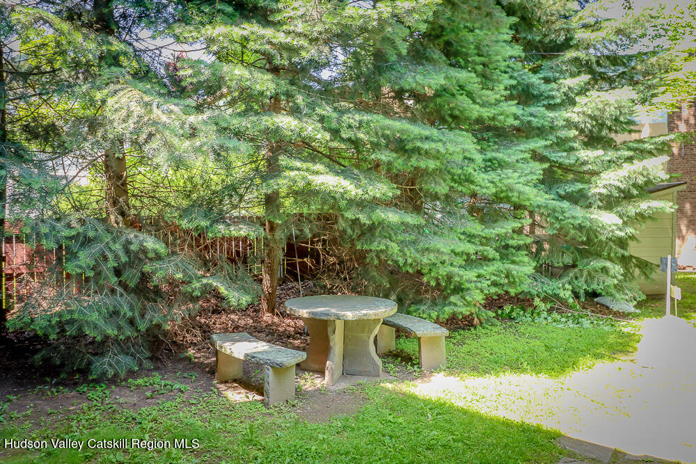 38 Main Street Chatham, NY 12037 - Photo 6 of 28 a view of a yard with plants and large trees
