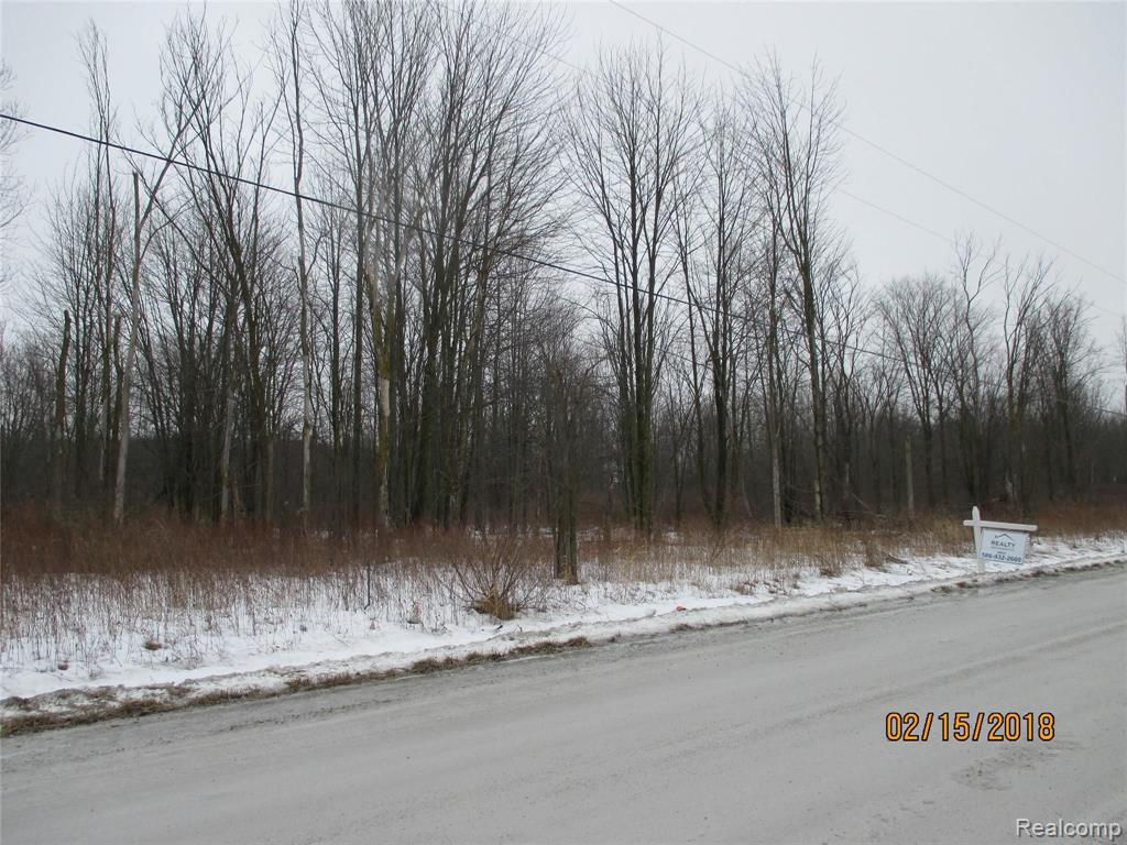 0 McKinley Road East China, MI 48054 - Photo 10 of 17