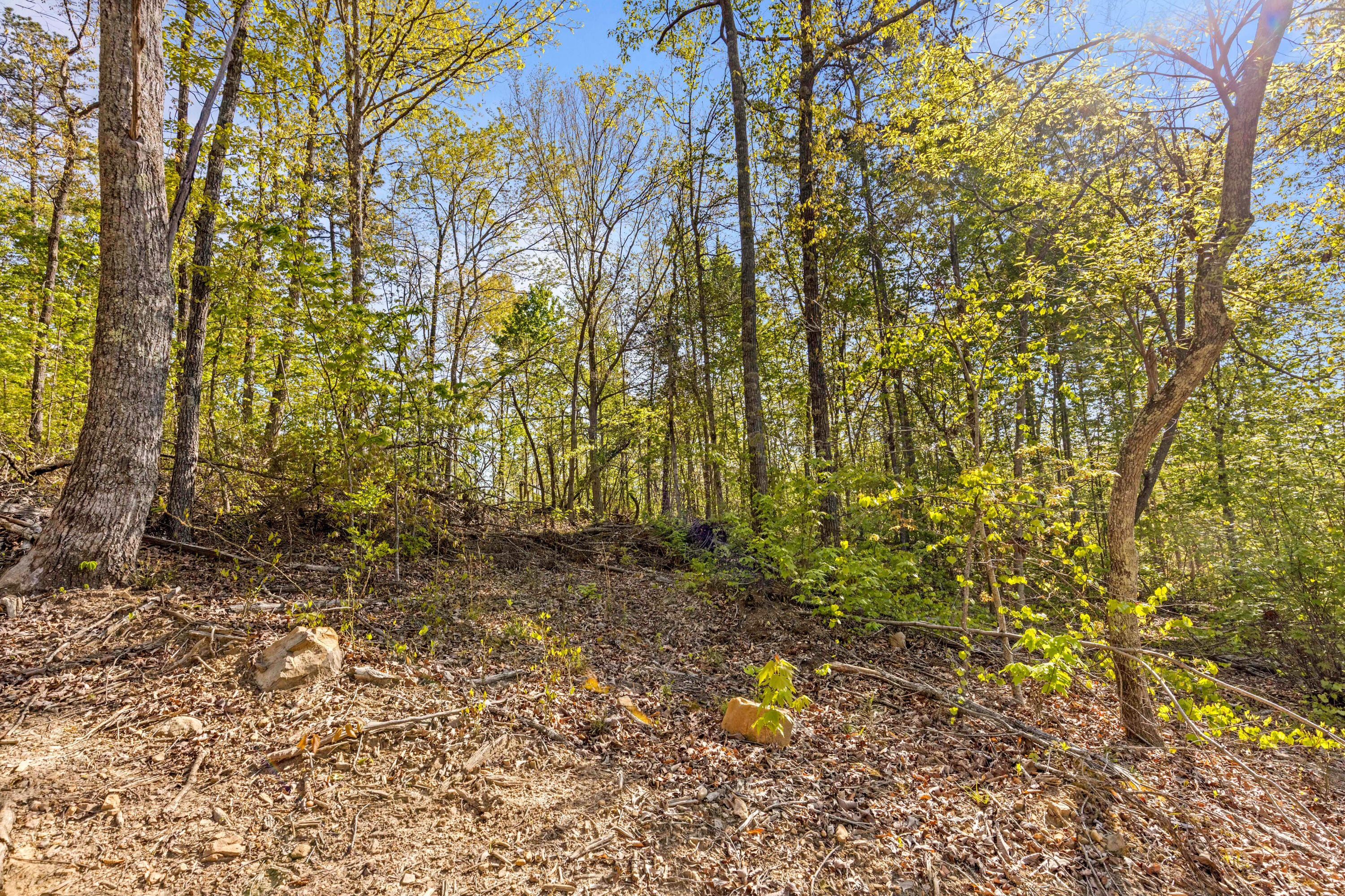 0 Valley View Highway Whitwell, TN 37397 - Photo 10 of 26 ValleyView-7