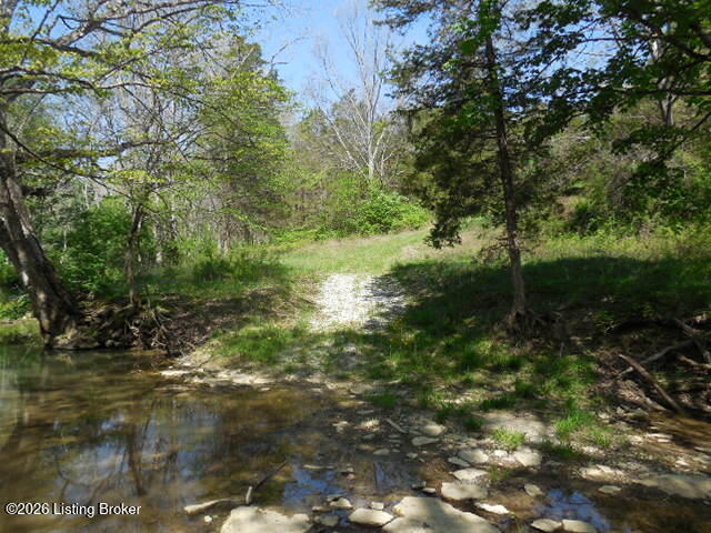 1655 Stewart Ridge Road Sparta, KY 41086 - Photo 19 of 31 DSCN3097