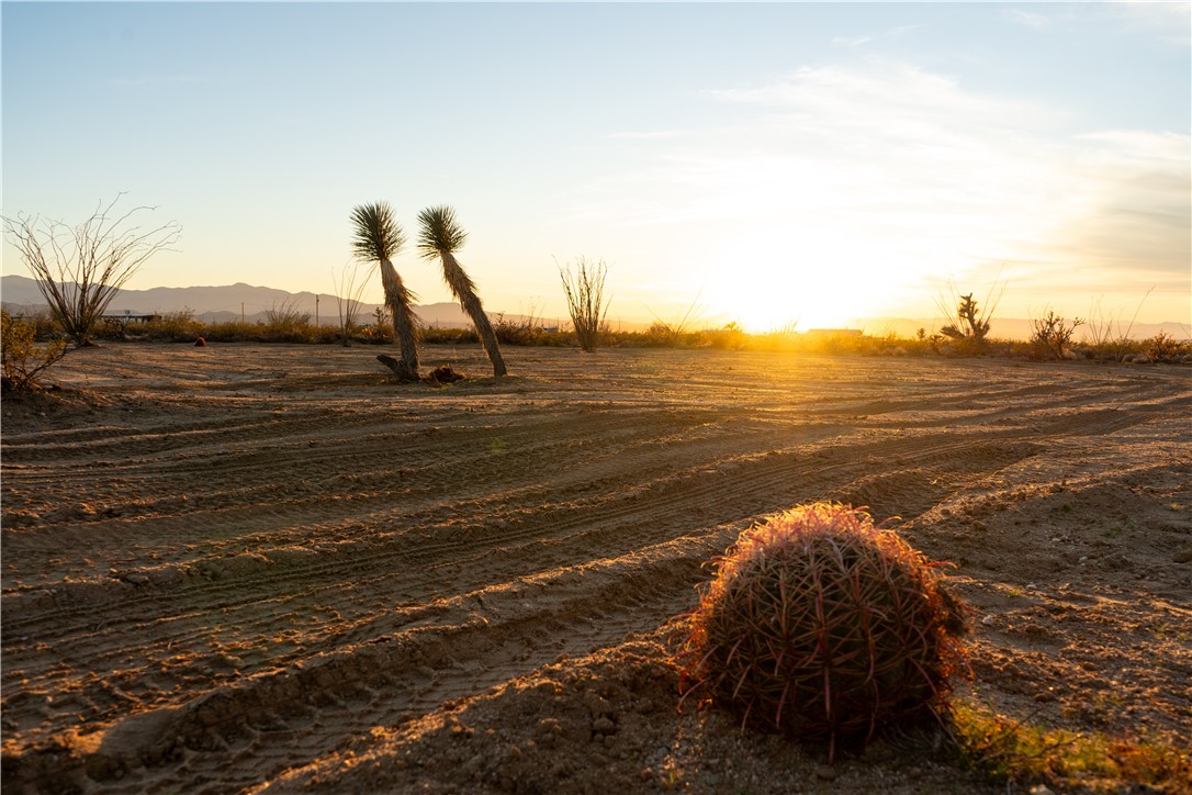 207-17-065 South Cameron Road Yucca, AZ 86438 - Photo 4 of 24