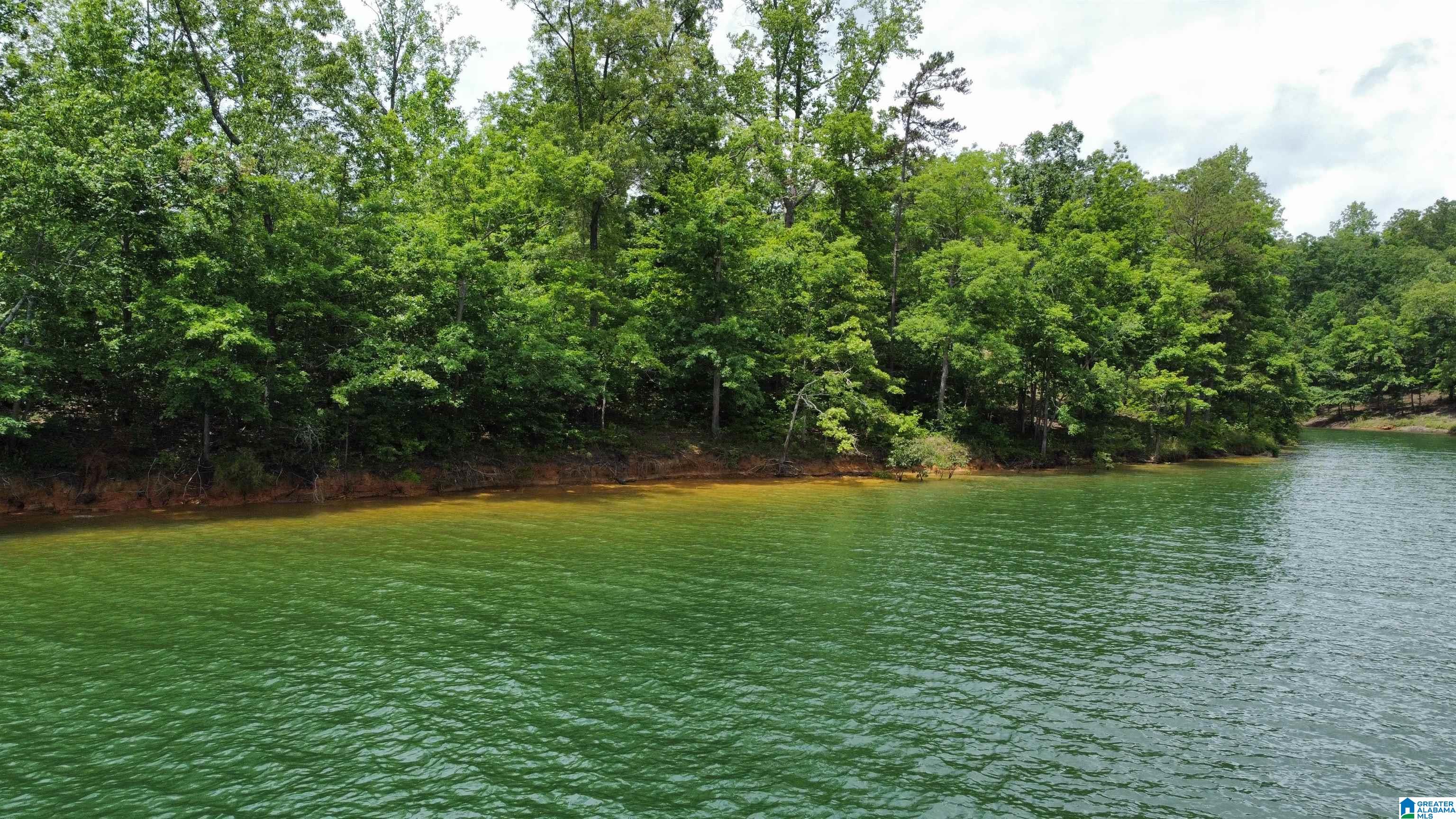 Lot 9 Edgewater Bend Road, Unit 9 Arley, AL 35541 - Photo 2 of 14