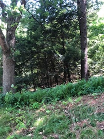 Lot 1 West Gill Road Gill, MA 01354 - Photo 30 of 31 Gallery Image 30