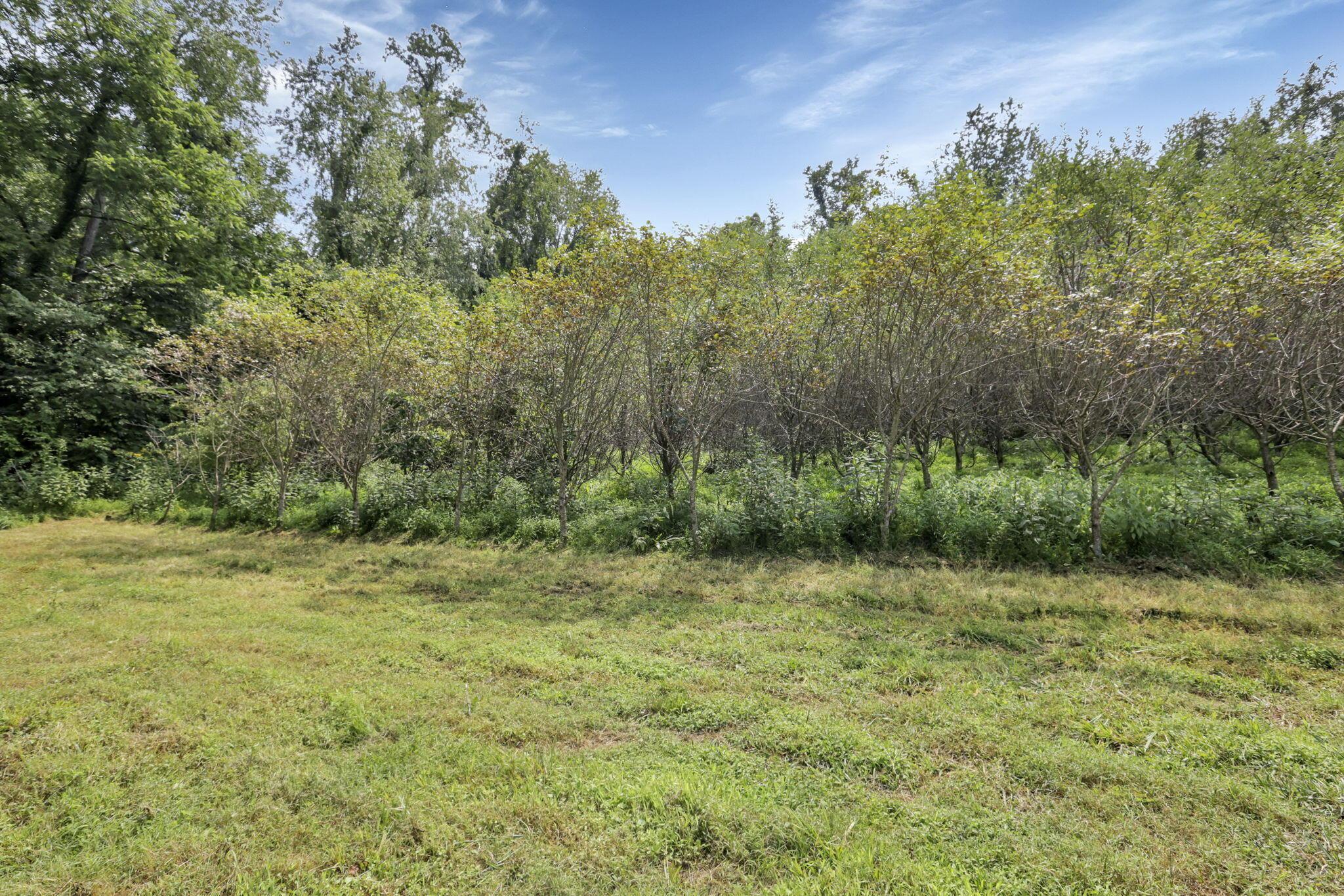 1890 Baltimore Road Northwest Lancaster, OH 43130 - Photo 55 of 72 55-web-or-mls-0V3A1718