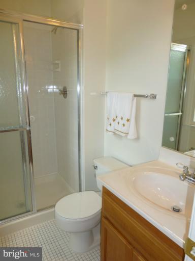 8311 Crown Court Road Alexandria, VA 22308 - Photo 14 of 21 Bath (Master)