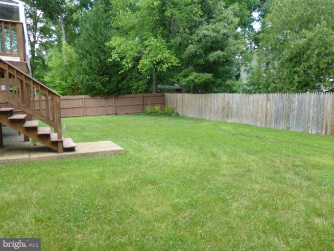 8311 Crown Court Road Alexandria, VA 22308 - Photo 9 of 21 Backyard