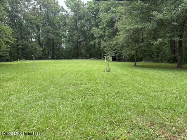 2914 Highway 7 Holcomb, MS 38940 - Photo 18 of 30 More of Yard