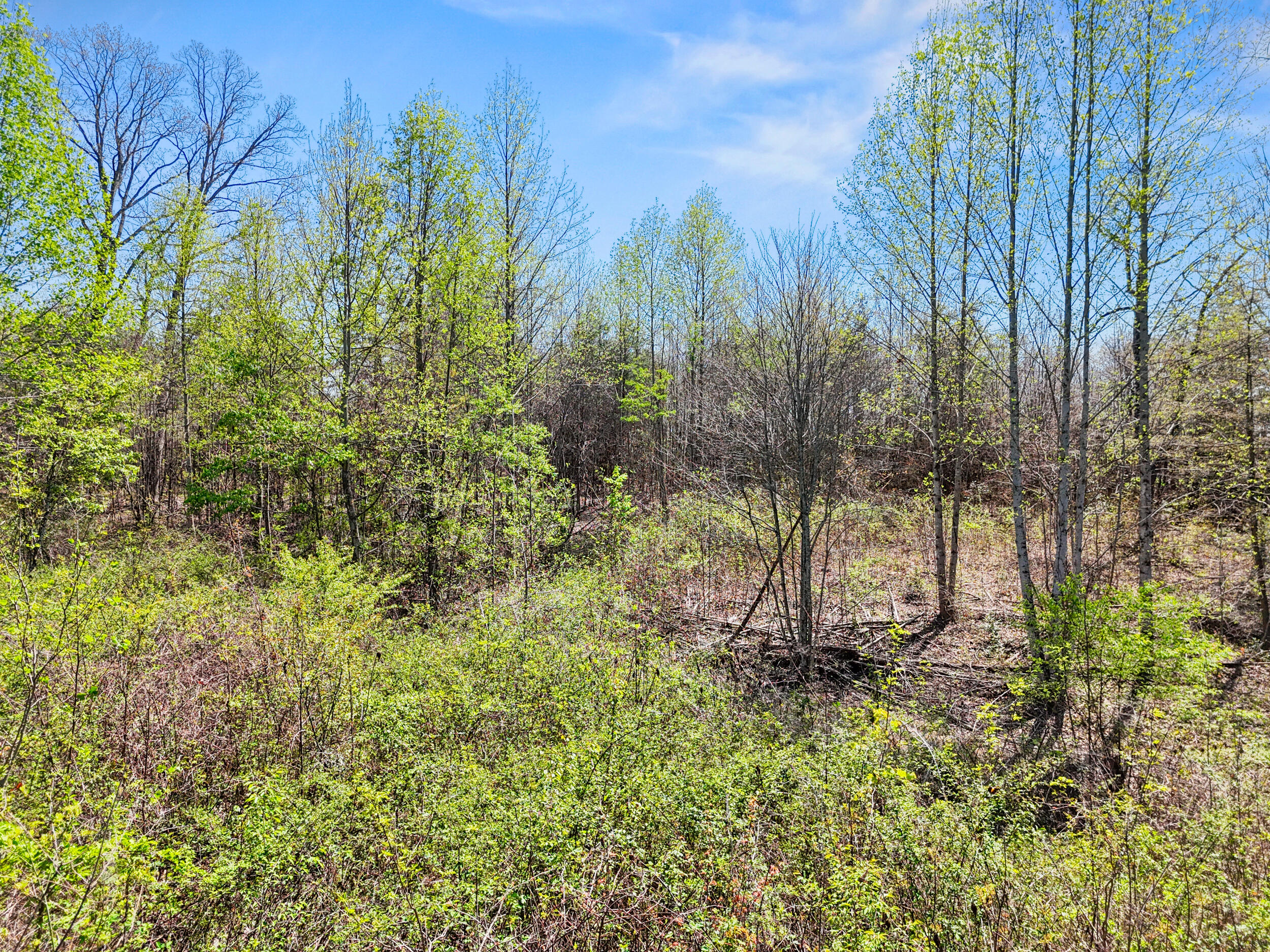0 Grayson Way Signal Mountain, TN 37377 - Photo 3 of 18 dji_20260410030634_0217_d