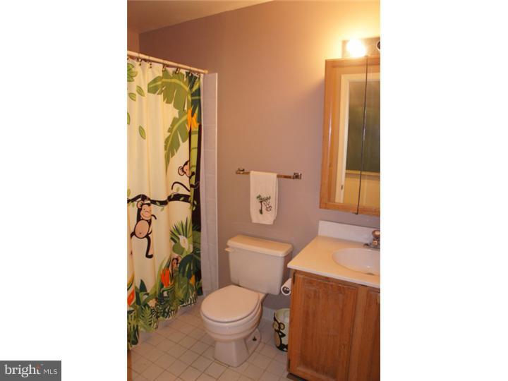 243 Fox Road Media, PA 19063 - Photo 21 of 25 Bathroom