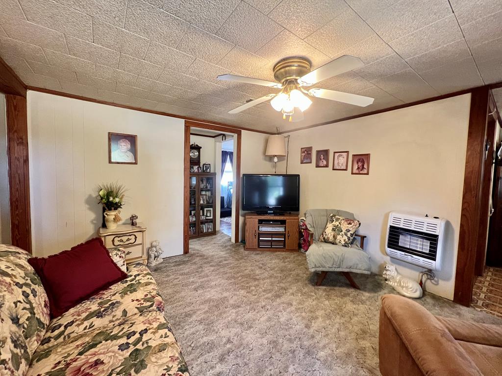 1531 Hornsby Road Samson, AL 36477 - Photo 3 of 41