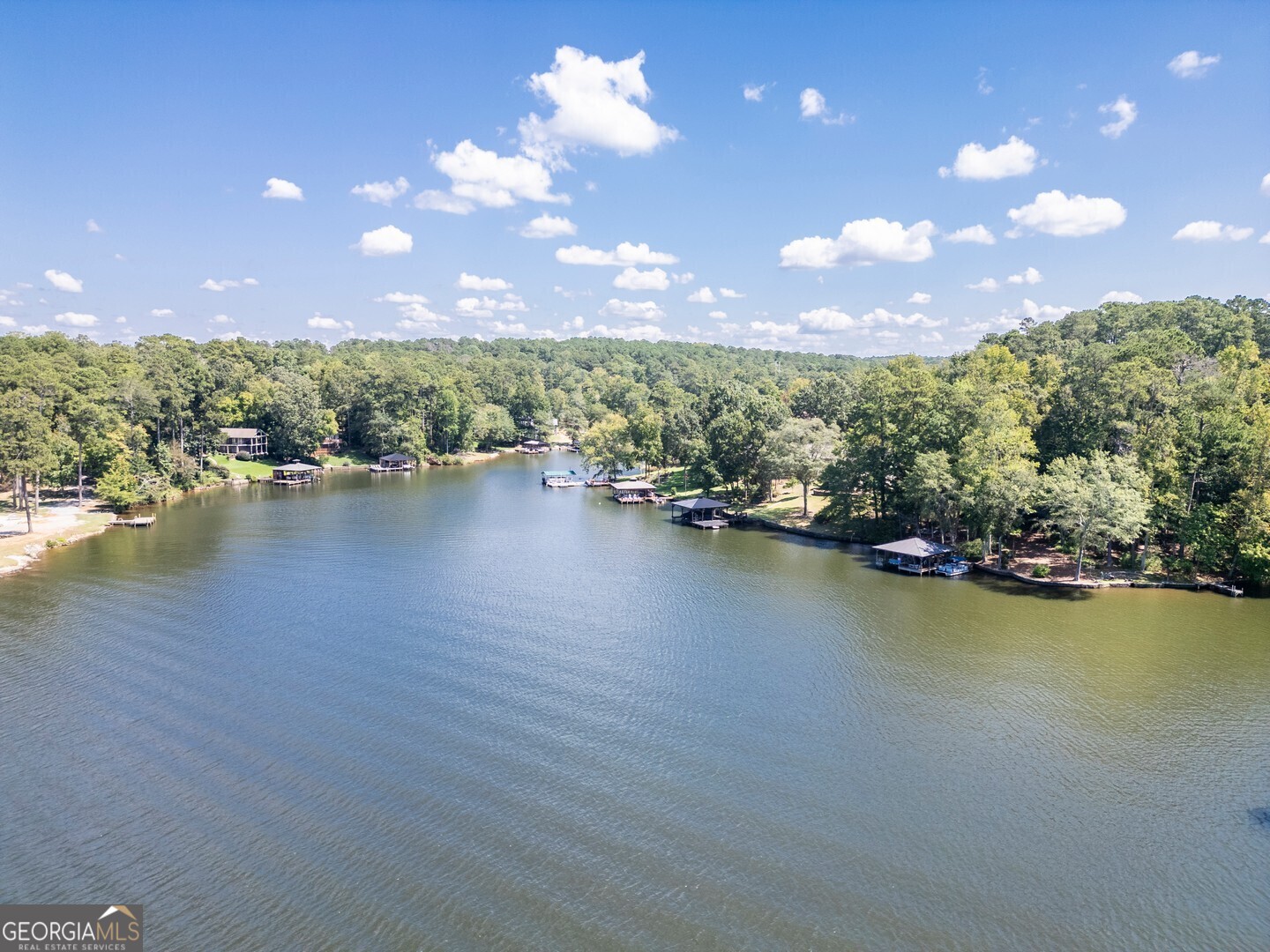 766 Raven Road Monticello, GA 31064 - Photo 56 of 59 Gallery Image 56
