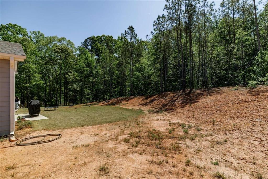 588 Scout Hut Road Danielsville, GA 30633 - Photo 35 of 37