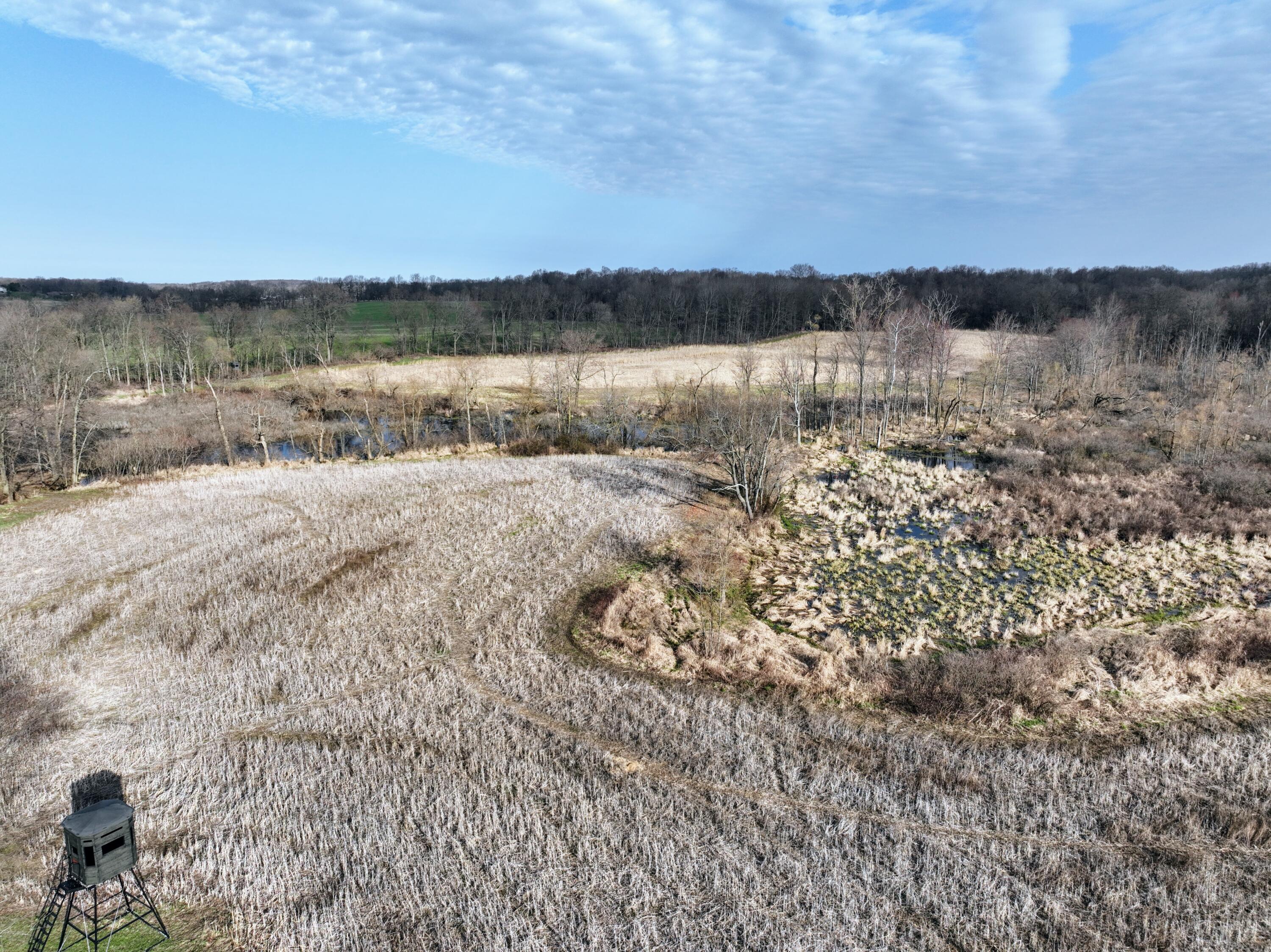 11840 Schreiner Road Bellevue, MI 49021 - Photo 7 of 62 7