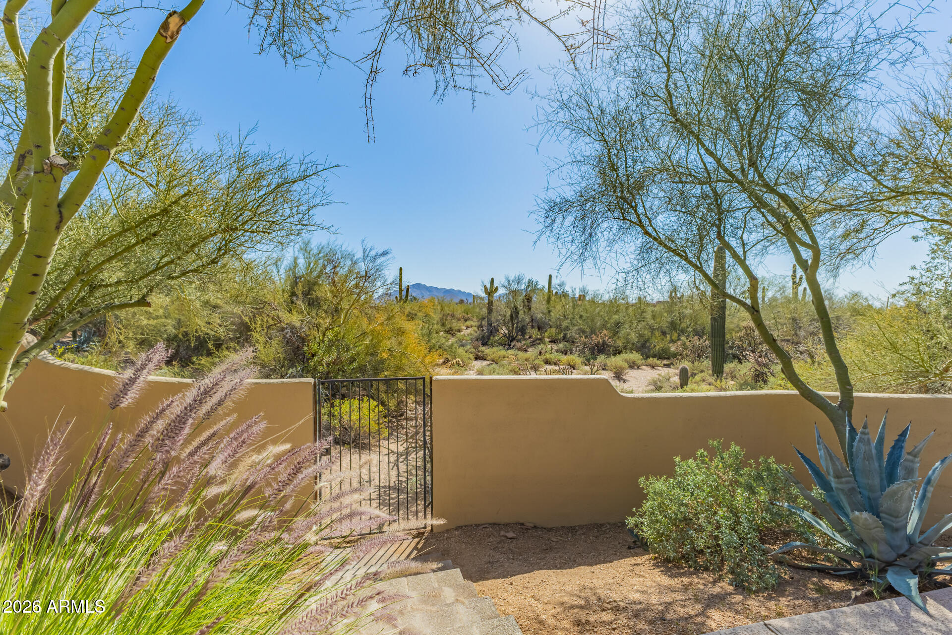 8549 East Bronco Trail Scottsdale, AZ 85255 - Photo 65 of 67 a view of outdoor space and yard