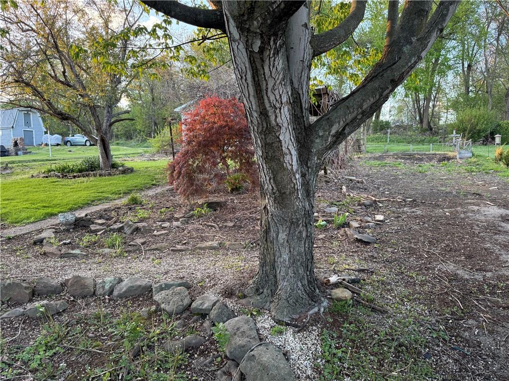 327 Rocktown Road Tarrs, PA 15688 - Photo 27 of 39 a backyard of a house with lots of green space