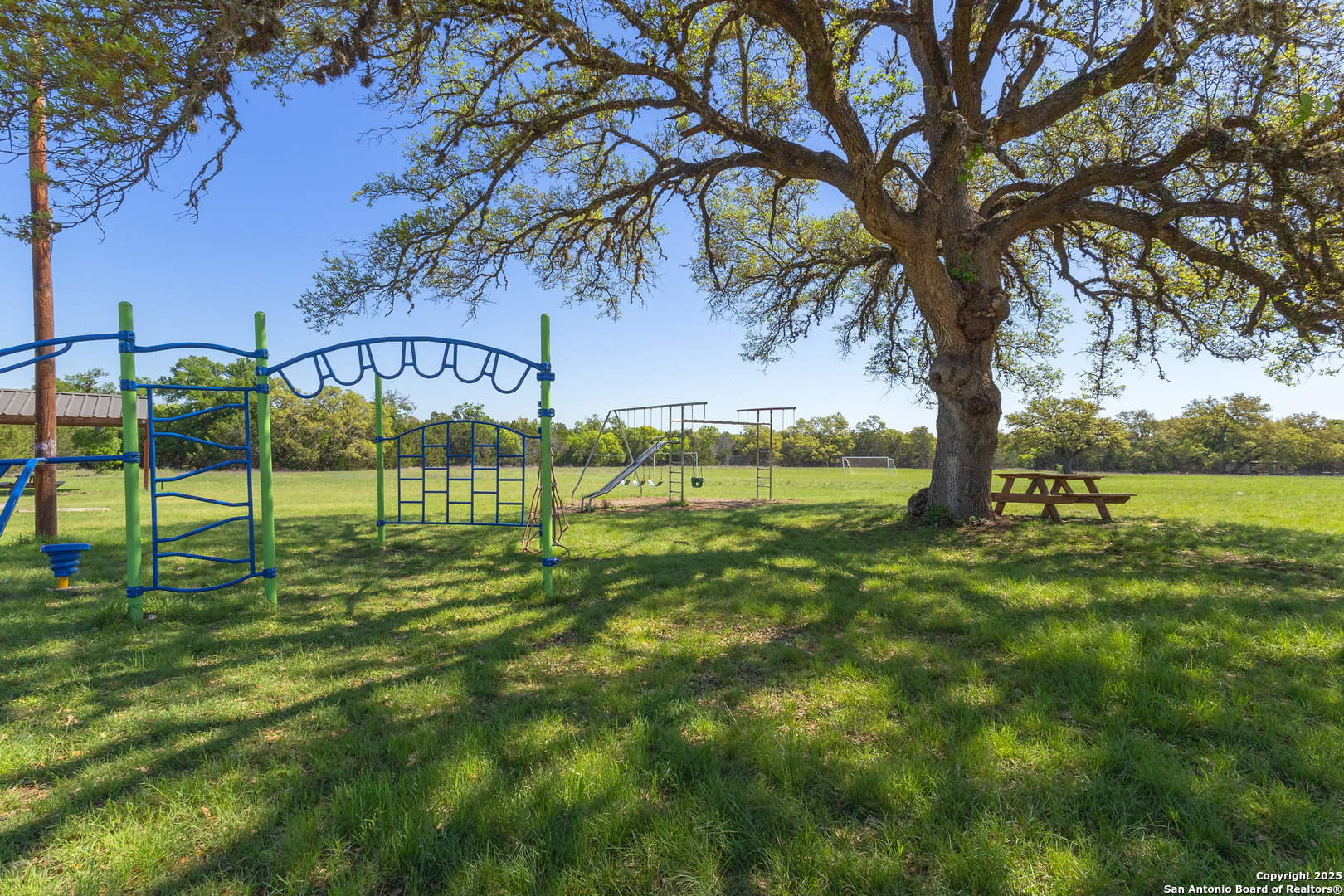 0 Forest Lake Drive Spring Branch, TX 78070 - Photo 12 of 14
