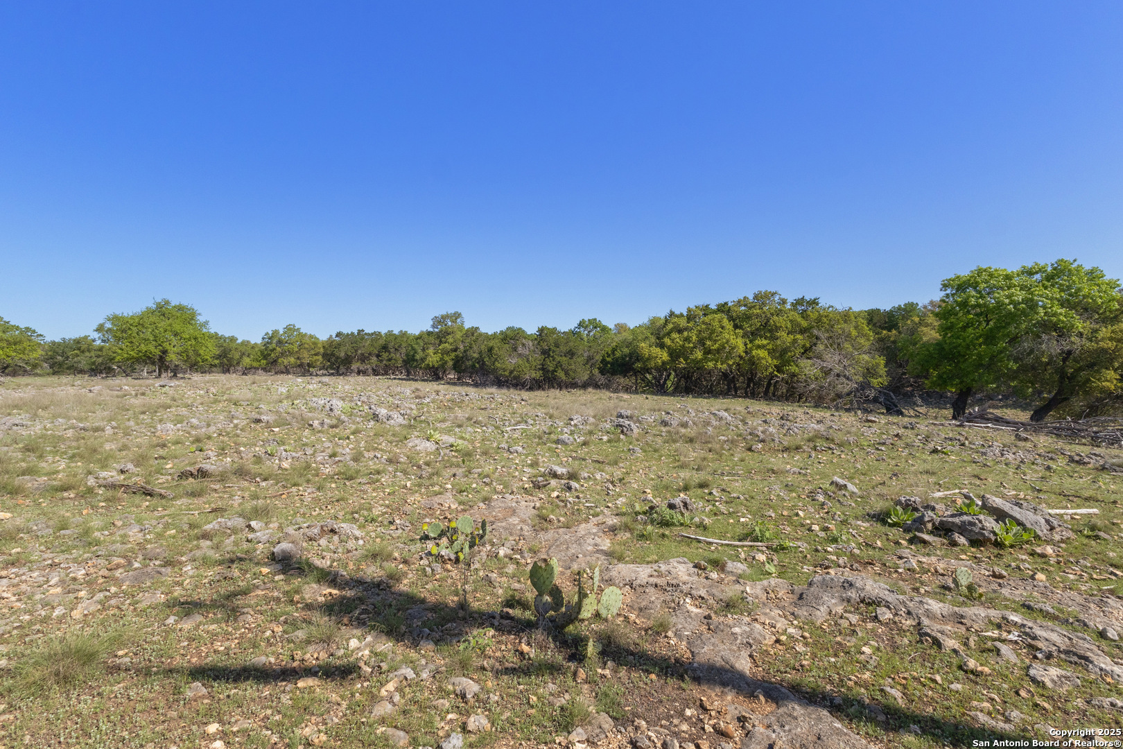 0 Forest Lake Drive Spring Branch, TX 78070 - Photo 3 of 14