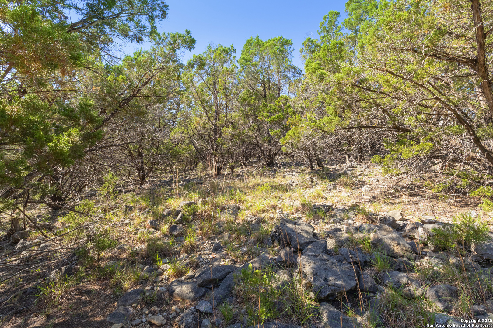 0 Forest Lake Drive Spring Branch, TX 78070 - Photo 4 of 14