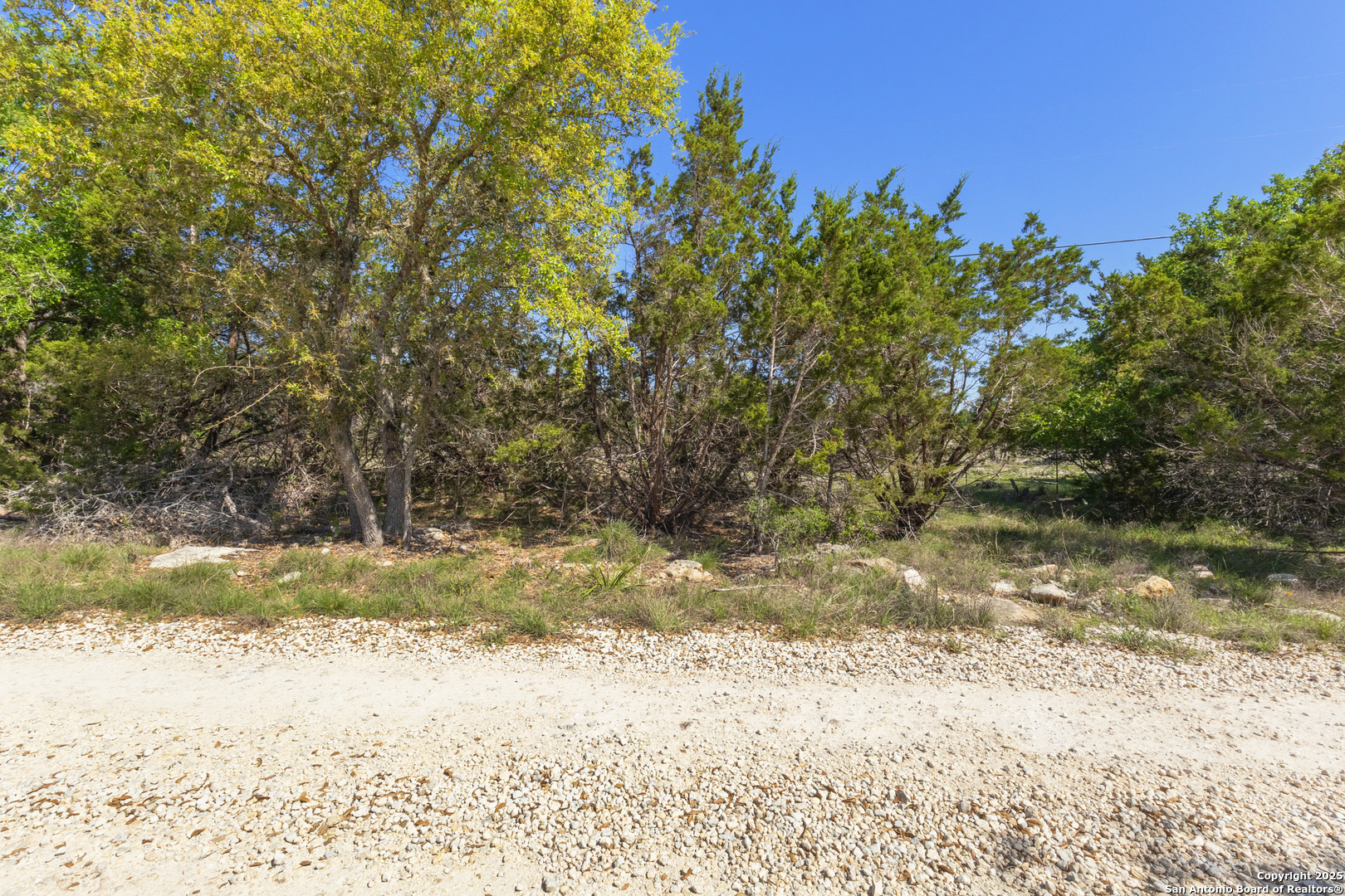 0 Forest Lake Drive Spring Branch, TX 78070 - Photo 10 of 14