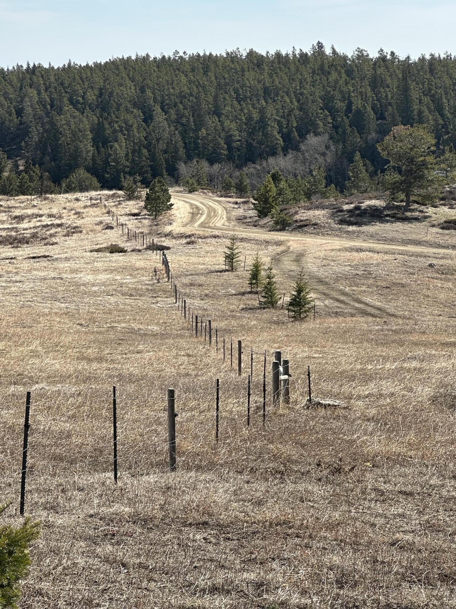 45 Blacktooth Road Sheridan, WY 82801 - Photo 8 of 47 Road